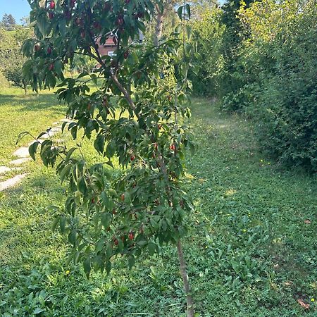 Vacationhome In The Vineyards Відень Екстер'єр фото
