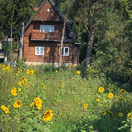 Vacationhome In The Vineyards Відень Екстер'єр фото