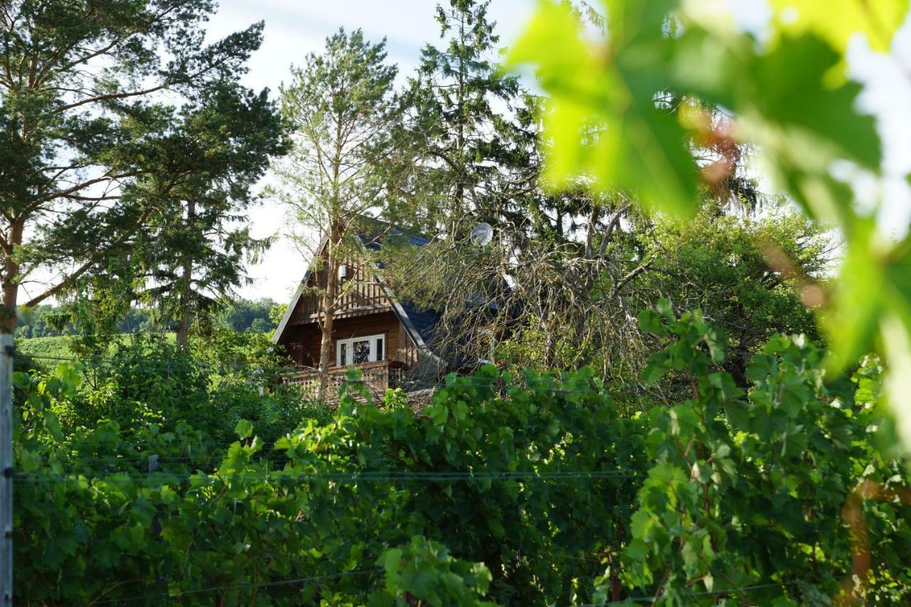 Vacationhome In The Vineyards Відень Екстер'єр фото