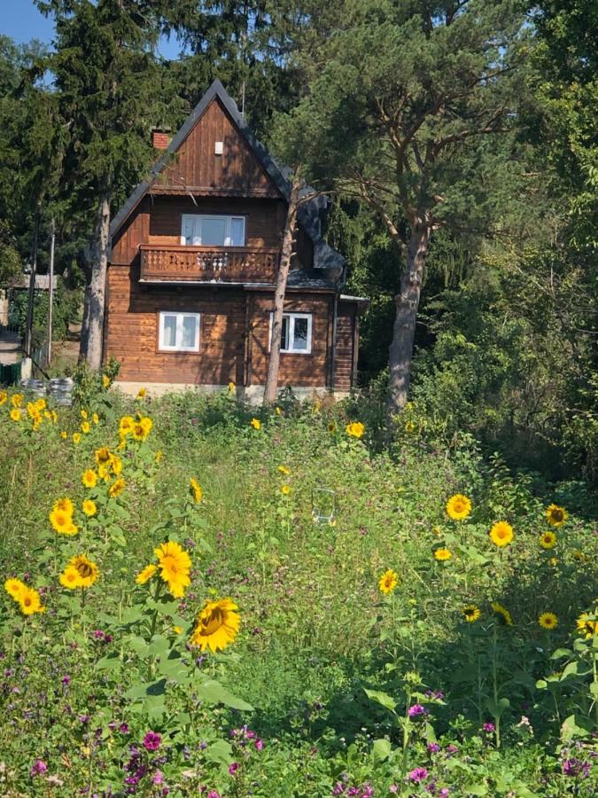 Vacationhome In The Vineyards Відень Екстер'єр фото